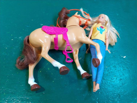 Barbie A Cavallo