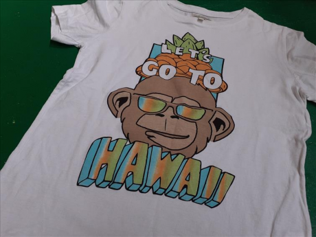 T-shirt Hawaii 8/9a