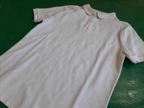 Polo Zara 12/14a