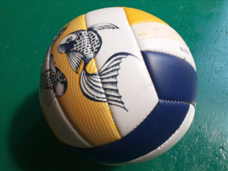 Pallone Volley 