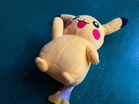 Peluche Pokemon F