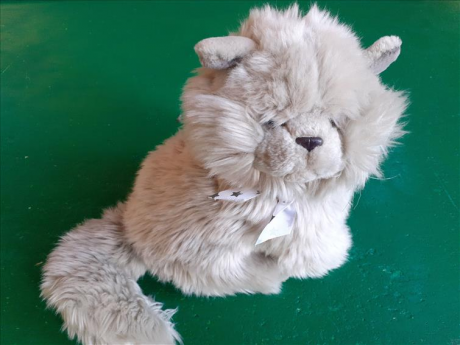 Gattino Peluche  F