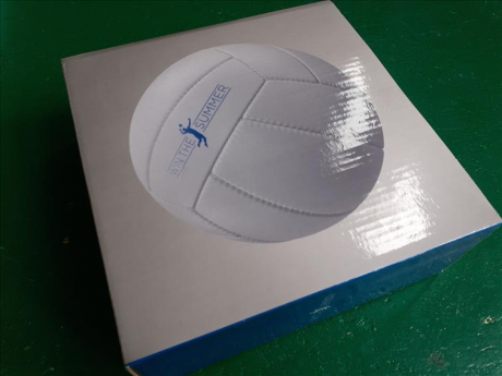 Pallone Volley Nuovo