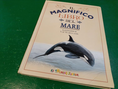 Librone Del Mare F