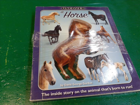 Libro Horse F