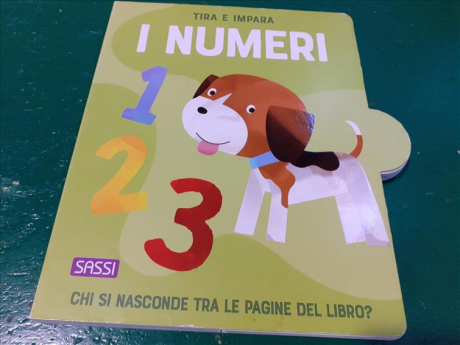 Libro Numeri F