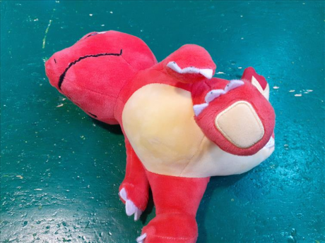 Peluche Pokeman Rosso  F