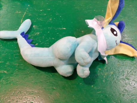 Peluche Pokemon Azzurro  F