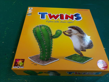 Gioco Twins